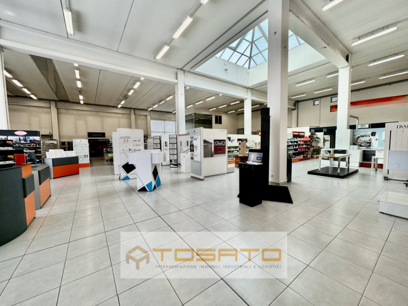 Immagine 33 di Capannone industriale in vendita  a Cerea