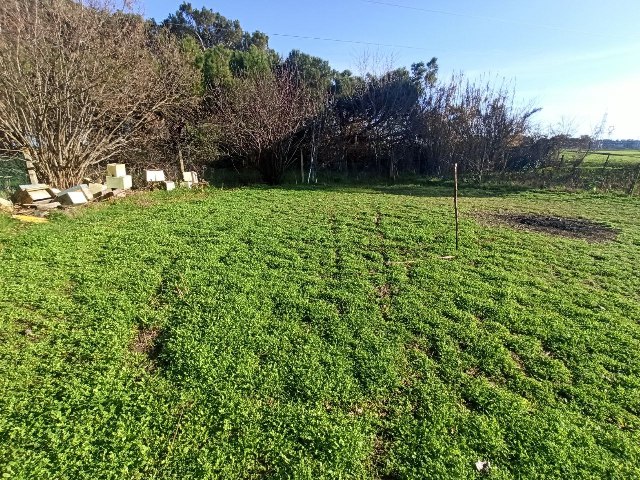 Immagine 22 di Appartamento in vendita  in località Pineta a Castiglione Del Lago