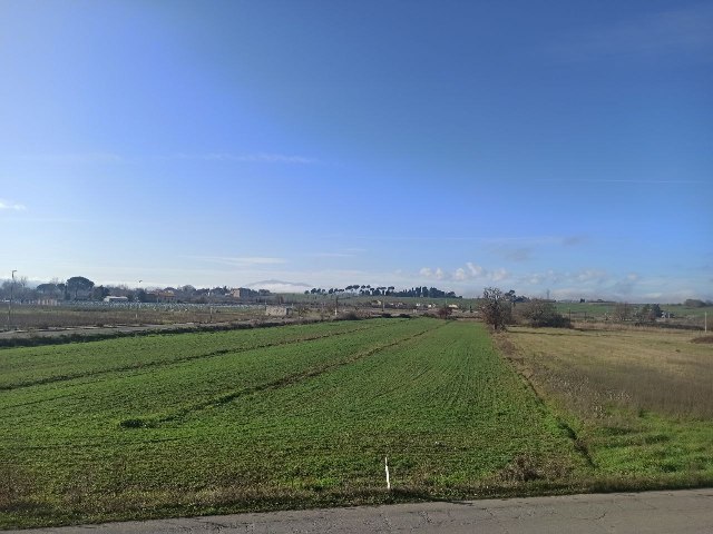 Immagine 24 di Appartamento in vendita  in località Pineta a Castiglione Del Lago