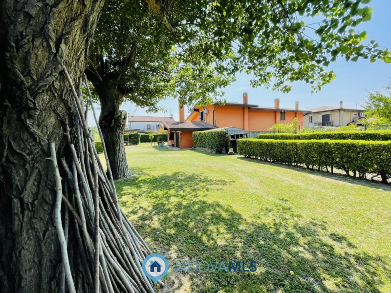 Immagine 19 di Villa in vendita  in via cucchetti 74 a Noventa Padovana