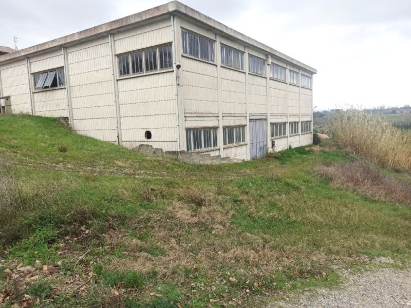 Immagine 2 di Capannone industriale in vendita  a Castiglione Del Lago