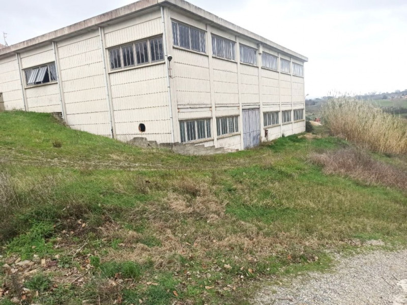 Immagine 6 di Capannone industriale in vendita  a Castiglione Del Lago