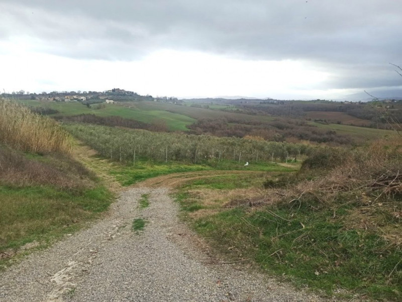 Immagine 10 di Capannone industriale in vendita  a Castiglione Del Lago