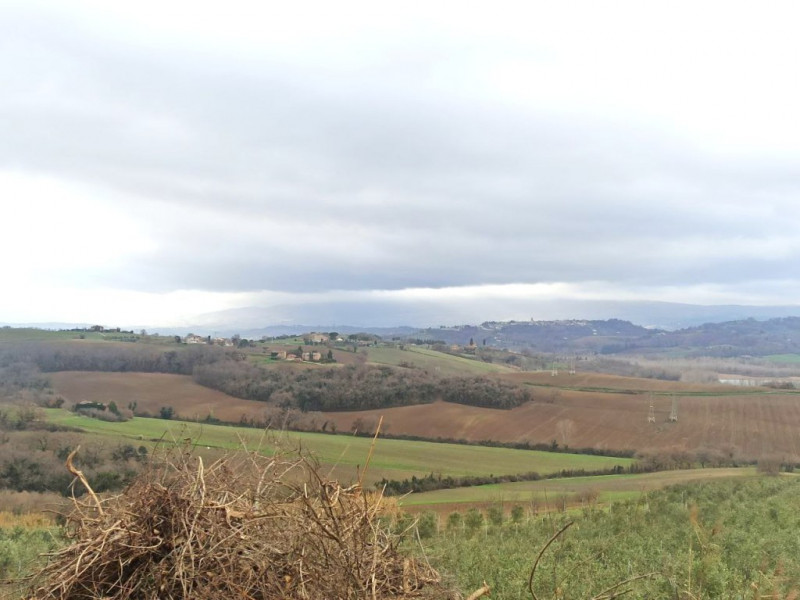 Immagine 12 di Capannone industriale in vendita  a Castiglione Del Lago