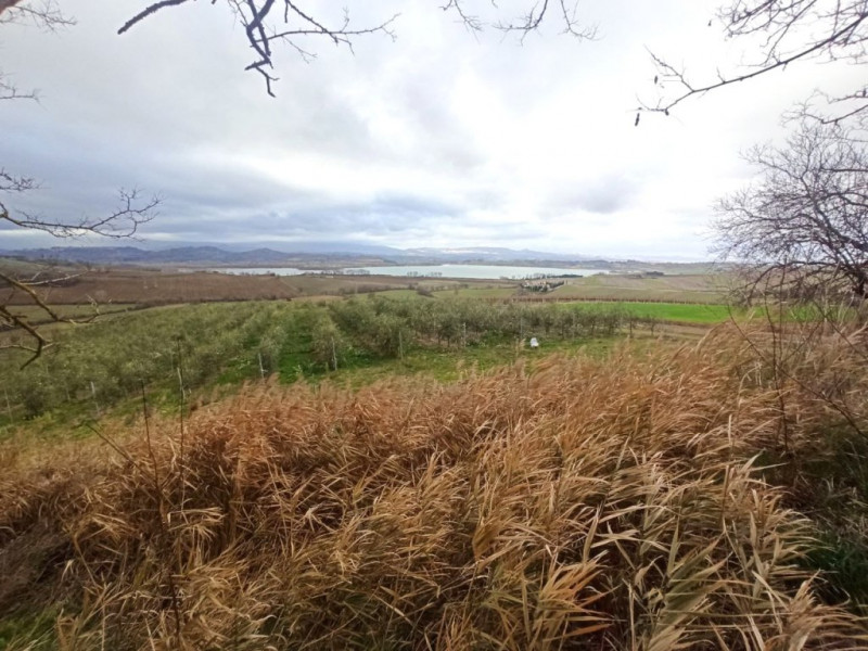 Immagine 13 di Capannone industriale in vendita  a Castiglione Del Lago