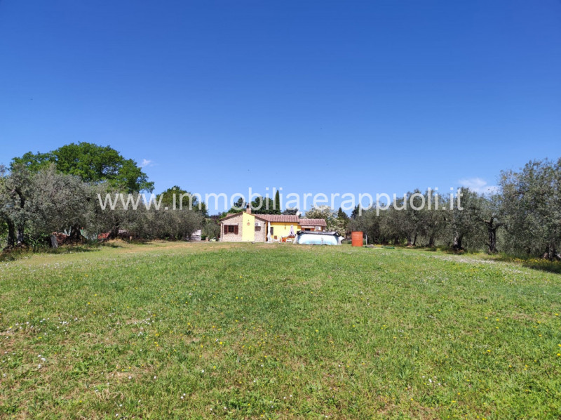 Immagine 2 di Casa indipendente in vendita  a Sinalunga