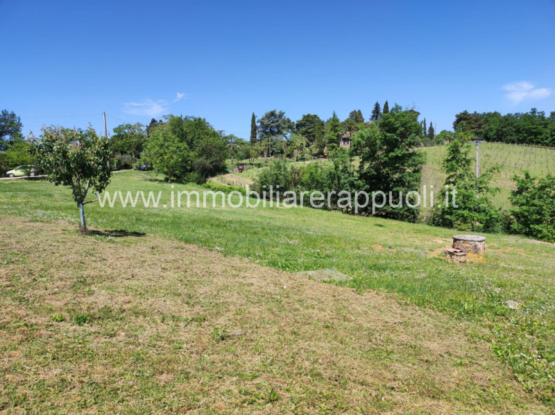 Immagine 4 di Casa indipendente in vendita  a Sinalunga