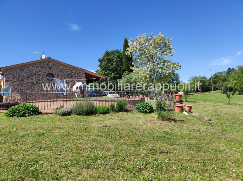 Immagine 5 di Casa indipendente in vendita  a Sinalunga