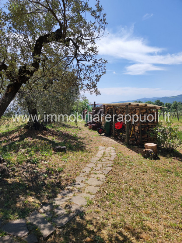 Immagine 7 di Casa indipendente in vendita  a Sinalunga