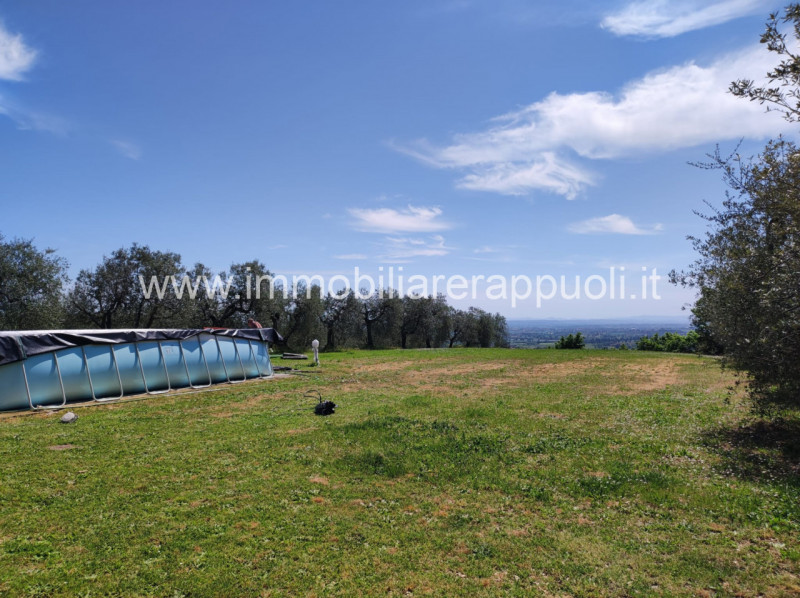 Immagine 8 di Casa indipendente in vendita  a Sinalunga