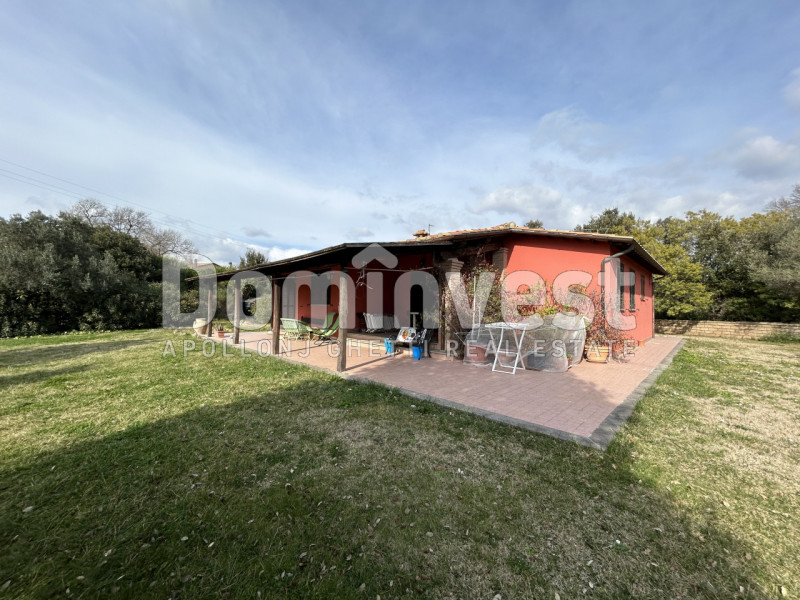 Immagine 3 di Rustico / casale in vendita  in strada villa pinciana a Capalbio