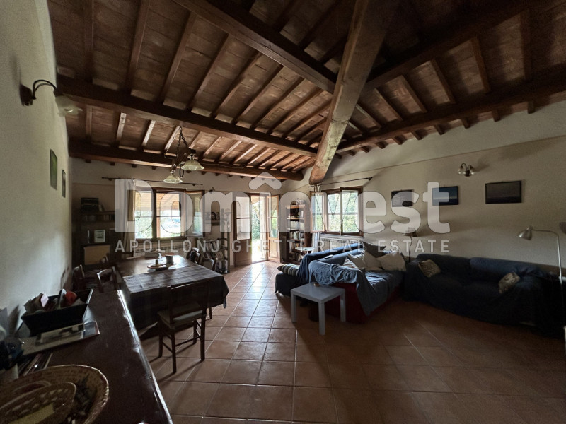 Immagine 5 di Rustico / casale in vendita  in strada villa pinciana a Capalbio