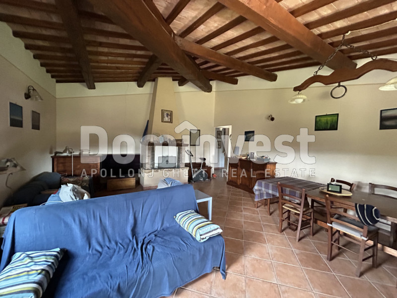 Immagine 6 di Rustico / casale in vendita  in strada villa pinciana a Capalbio