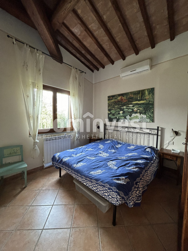 Immagine 10 di Rustico / casale in vendita  in strada villa pinciana a Capalbio