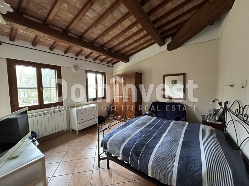 Immagine 19 di Rustico / casale in vendita  in strada villa pinciana a Capalbio