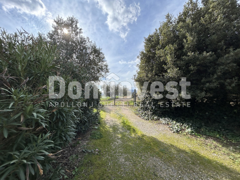 Immagine 20 di Rustico / casale in vendita  in strada villa pinciana a Capalbio