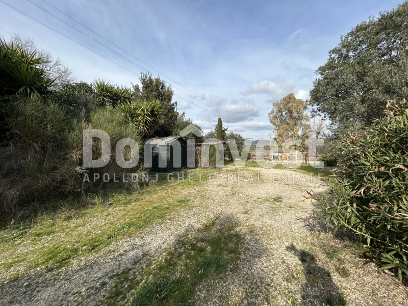Immagine 21 di Rustico / casale in vendita  in strada villa pinciana a Capalbio