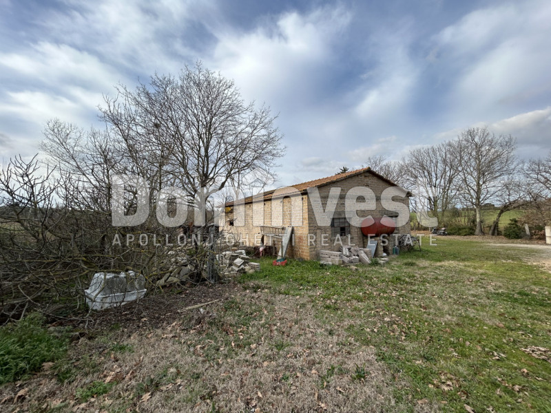 Immagine 2 di Rustico / casale in vendita  in Strada della Sgrilla a Capalbio