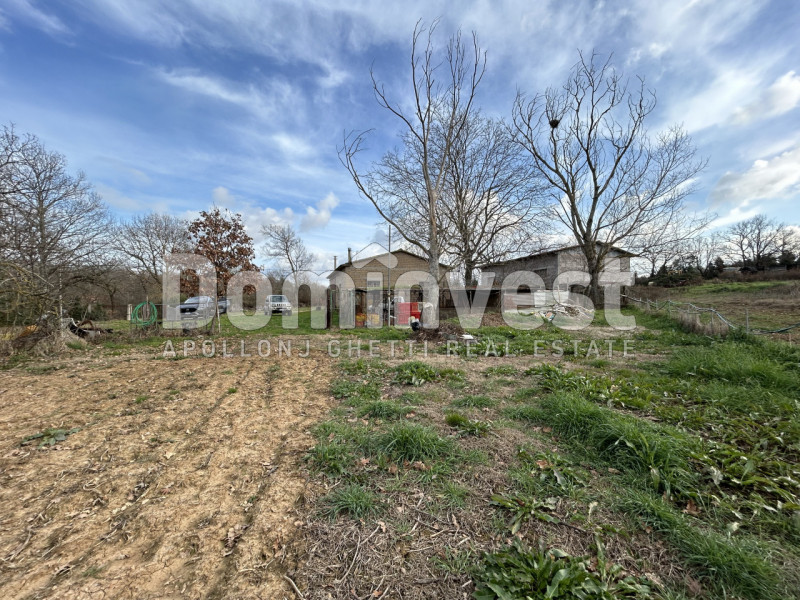 Immagine 6 di Rustico / casale in vendita  in Strada della Sgrilla a Capalbio