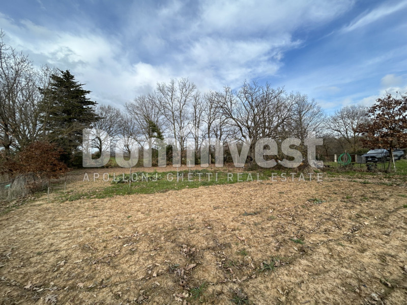 Immagine 7 di Rustico / casale in vendita  in Strada della Sgrilla a Capalbio