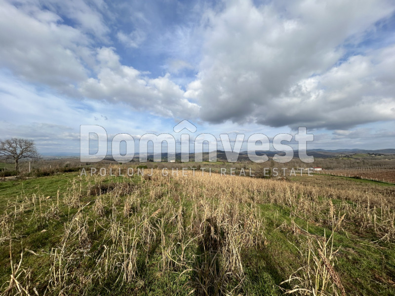 Immagine 10 di Rustico / casale in vendita  in Strada della Sgrilla a Capalbio