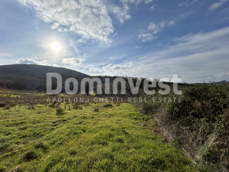 Immagine 11 di Rustico / casale in vendita  in Strada della Sgrilla a Capalbio