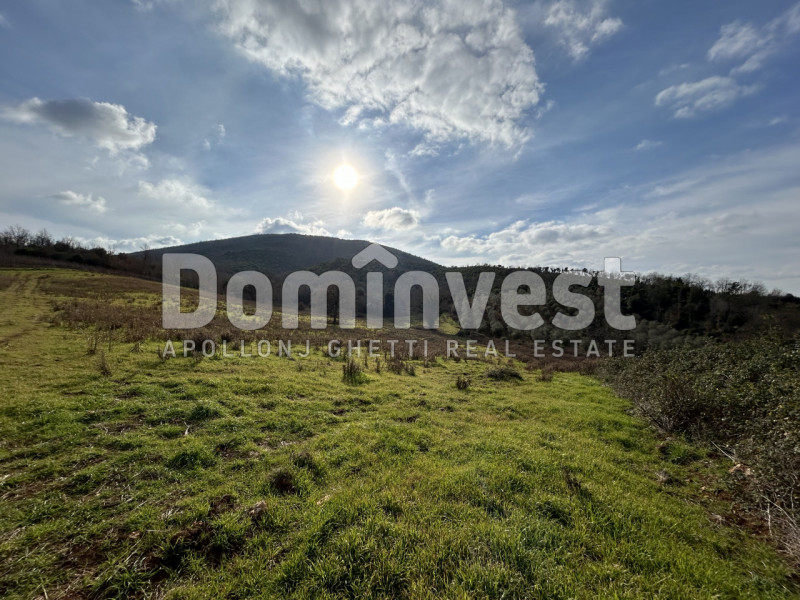Immagine 13 di Rustico / casale in vendita  in Strada della Sgrilla a Capalbio