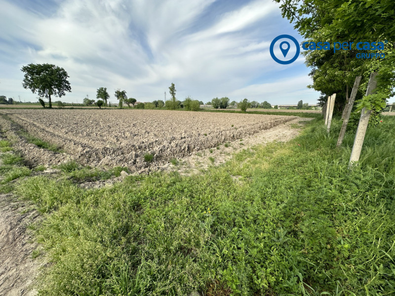 Immagine 1 di Terreno in vendita  in Via Boscovecchio 28 a Badia Polesine