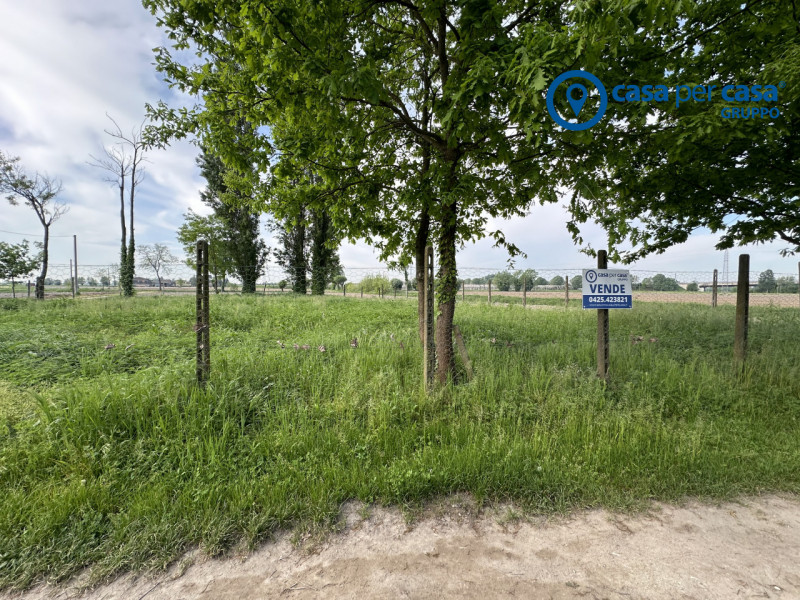 Immagine 3 di Terreno in vendita  in Via Boscovecchio 28 a Badia Polesine