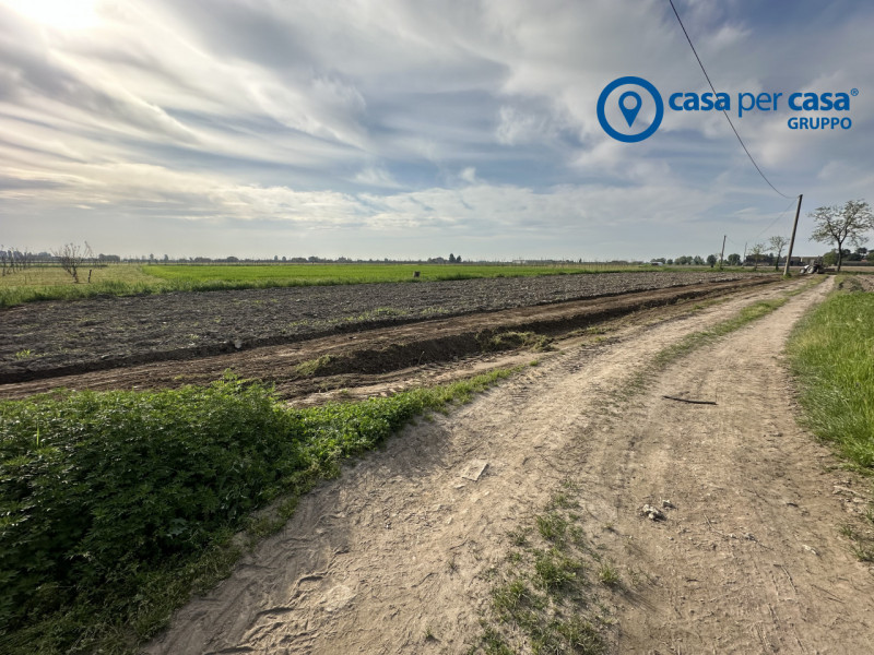 Immagine 5 di Terreno in vendita  in Via Boscovecchio 28 a Badia Polesine