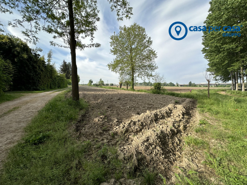 Immagine 6 di Terreno in vendita  in Via Boscovecchio 28 a Badia Polesine