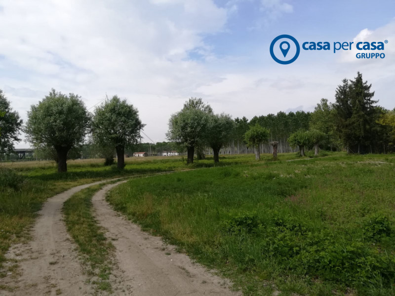 Immagine 7 di Terreno in vendita  in Via Boscovecchio 28 a Badia Polesine