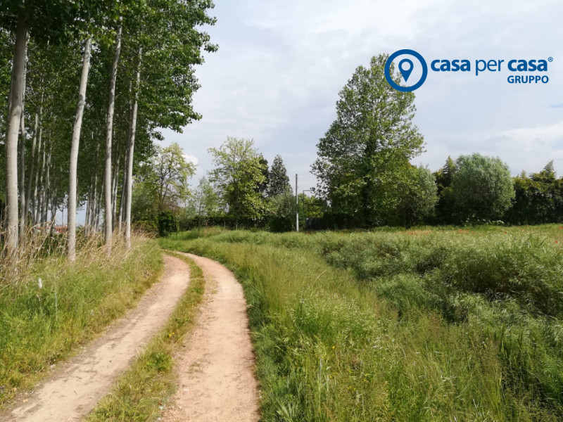 Immagine 8 di Terreno in vendita  in Via Boscovecchio 28 a Badia Polesine