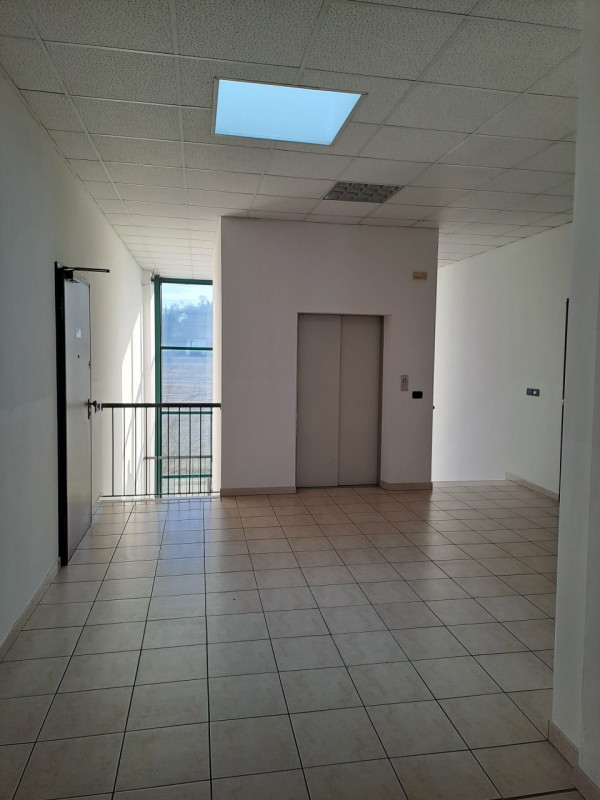 Immagine 4 di Laboratorio in vendita  a Arcugnano