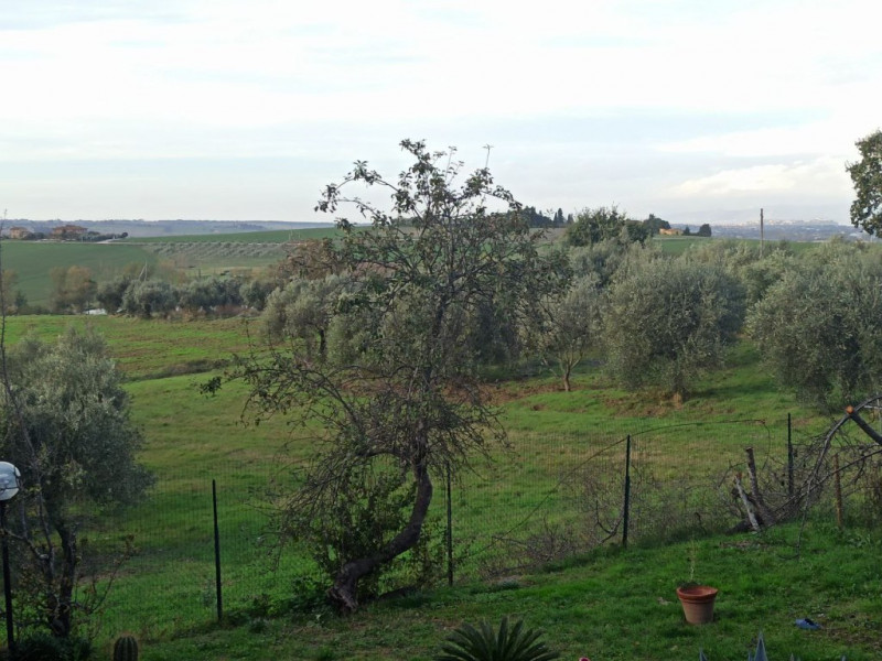 Immagine 17 di Appartamento in vendita  a Paciano