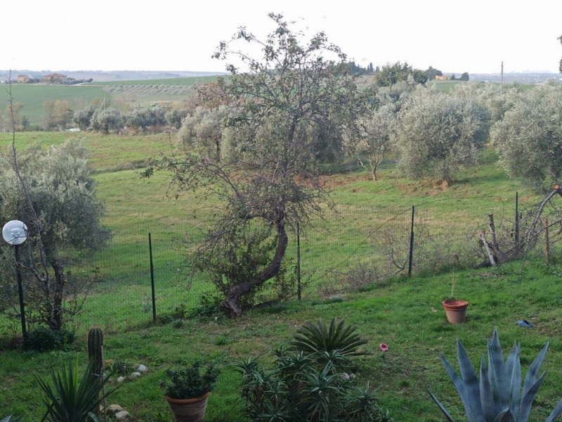 Immagine 18 di Appartamento in vendita  a Paciano