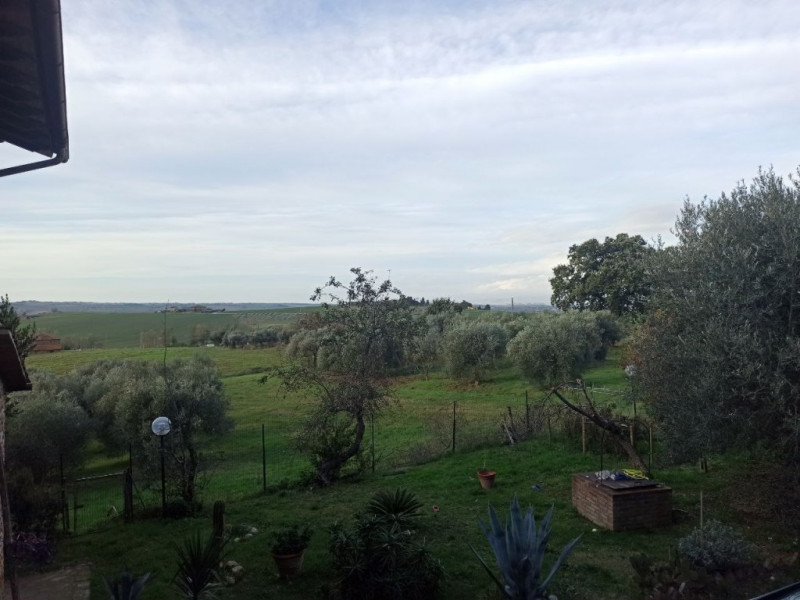 Immagine 20 di Appartamento in vendita  a Paciano