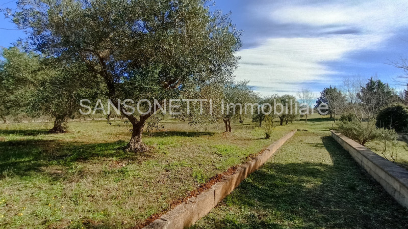Immagine 32 di Rustico / casale in vendita  in JOGAJ a Ostuni