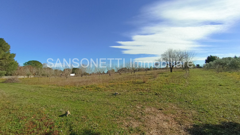 Immagine 33 di Rustico / casale in vendita  in JOGAJ a Ostuni