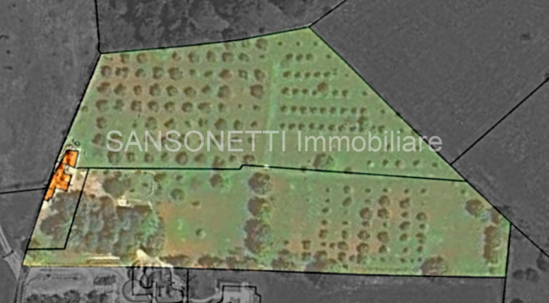 Immagine 36 di Rustico / casale in vendita  in JOGAJ a Ostuni