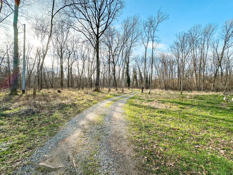 Immagine 37 di Casa indipendente in vendita  in Cascina Lama a Lenta