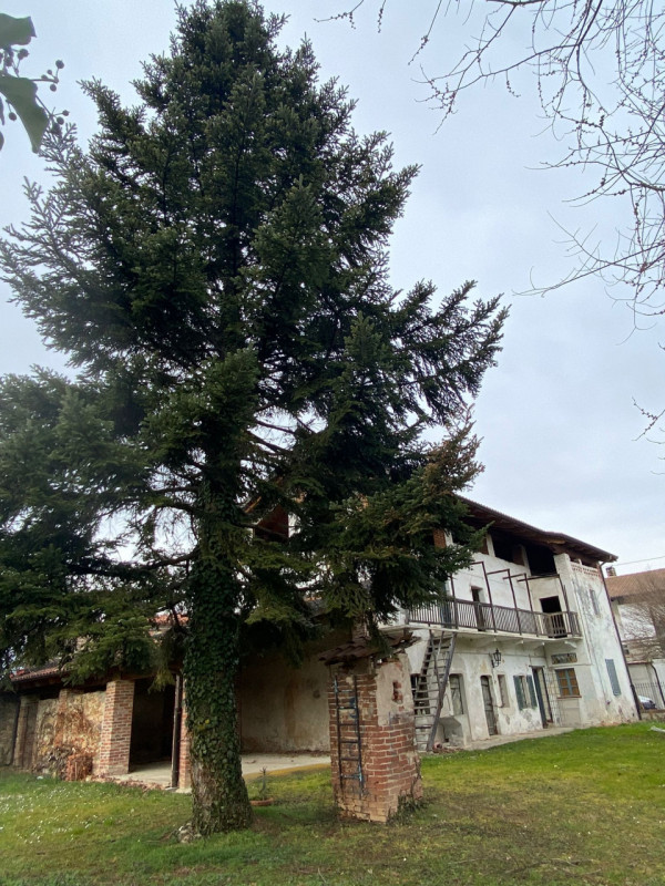 Immagine 12 di Rustico / casale in vendita  in Borgata Bussi Inferiore a Rivara