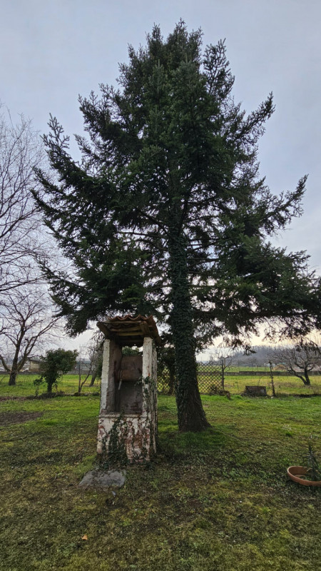 Immagine 13 di Rustico / casale in vendita  in Borgata Bussi Inferiore a Rivara