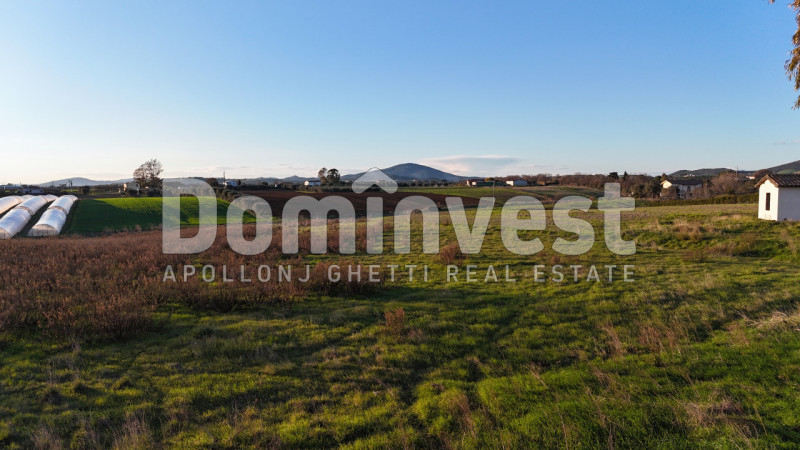 Immagine 3 di Rustico / casale in vendita  in STRADA PROVINCIALE PESCIA ROMANA a Capalbio