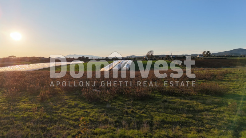 Immagine 4 di Rustico / casale in vendita  in STRADA PROVINCIALE PESCIA ROMANA a Capalbio