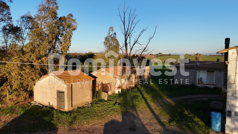 Immagine 5 di Rustico / casale in vendita  in STRADA PROVINCIALE PESCIA ROMANA a Capalbio