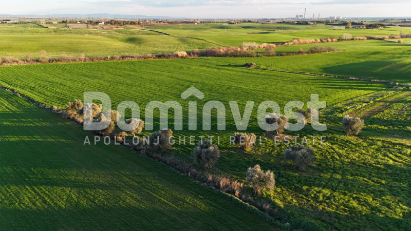 Immagine 9 di Rustico / casale in vendita  in STRADA PROVINCIALE PESCIA ROMANA a Capalbio