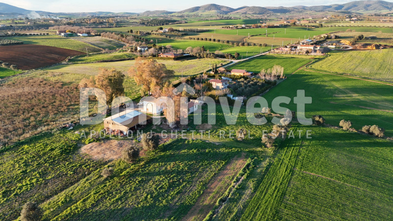 Immagine 11 di Rustico / casale in vendita  in STRADA PROVINCIALE PESCIA ROMANA a Capalbio