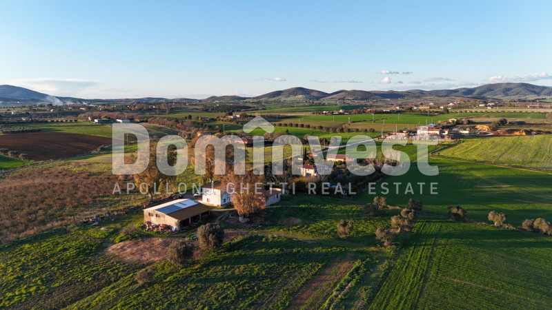 Immagine 12 di Rustico / casale in vendita  in STRADA PROVINCIALE PESCIA ROMANA a Capalbio