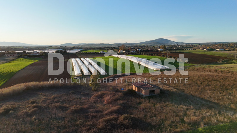 Immagine 13 di Rustico / casale in vendita  in STRADA PROVINCIALE PESCIA ROMANA a Capalbio